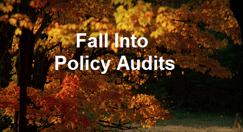 Fall into Policy Audits